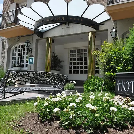 Edelweiss Hotel
